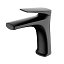 Grifo lavabo monomando Delos negro mate de Imex